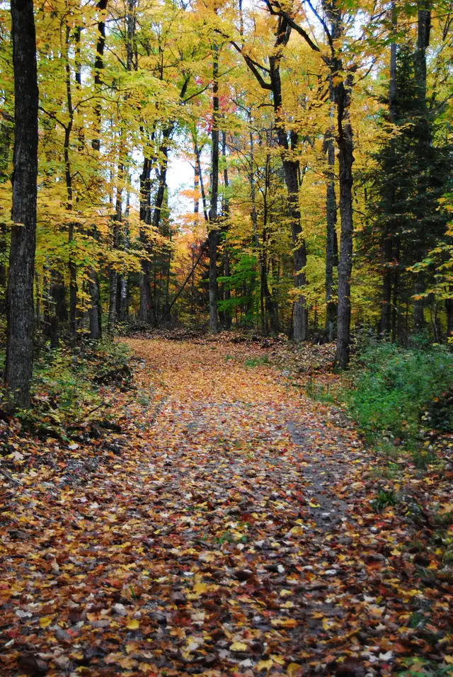 WATERFRONT LAND in Land for Sale in Gatineau - Image 7