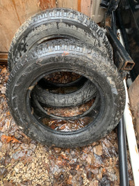 Nordic tires 