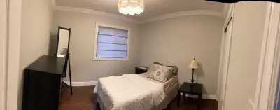 looking for a roommate
