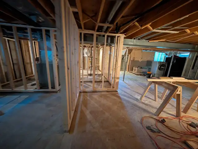 Professional framing - Carpentry services 