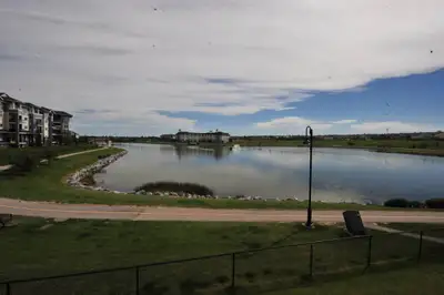 2 bed 2 bath beautiful LAKE VIEW condo for rent