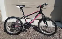 Supercycle Youth Mountain Bike