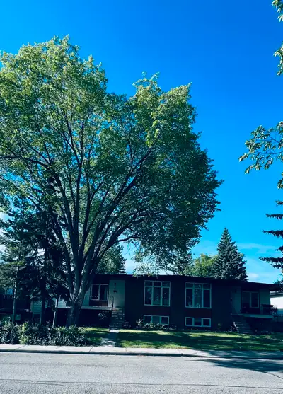 Charming Rental Unit Available