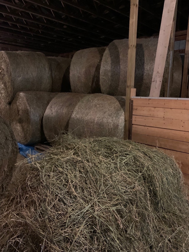 Hay for sale Equestrian & Livestock Accessories Ottawa Kijiji