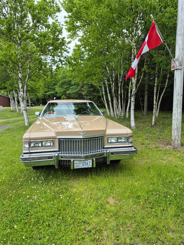 1975 Cadillac Deville in Classic Cars in Cape Breton - Image 2