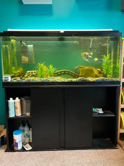 50 Gallon Full Aquarium Set Up -2 Top Fin Filters -Fluval Heater -Gravel -Ornaments/Fake Plants -Che...