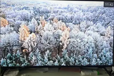 2022 model, original price $1350. Vivid colours, supports 4k resolution, comes with remote that has...