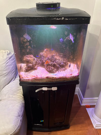 32 gallon biocube with upgraded light