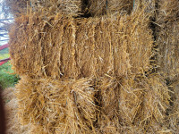 Wheat straw
