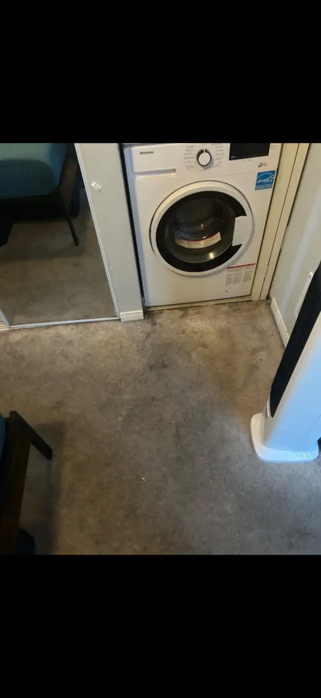 carpet cleaning533010511267768324