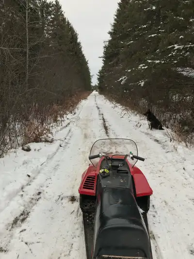 I have a 1983 yamaha bravo 250 It is in overall very good condition. Starts very easy with a few pul...