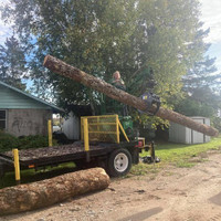 LOG LOADER TRAILER WITH GRAPPLE