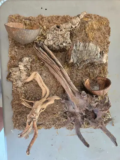 18x18x24 Zoo-Med terrarium and accessories , View more