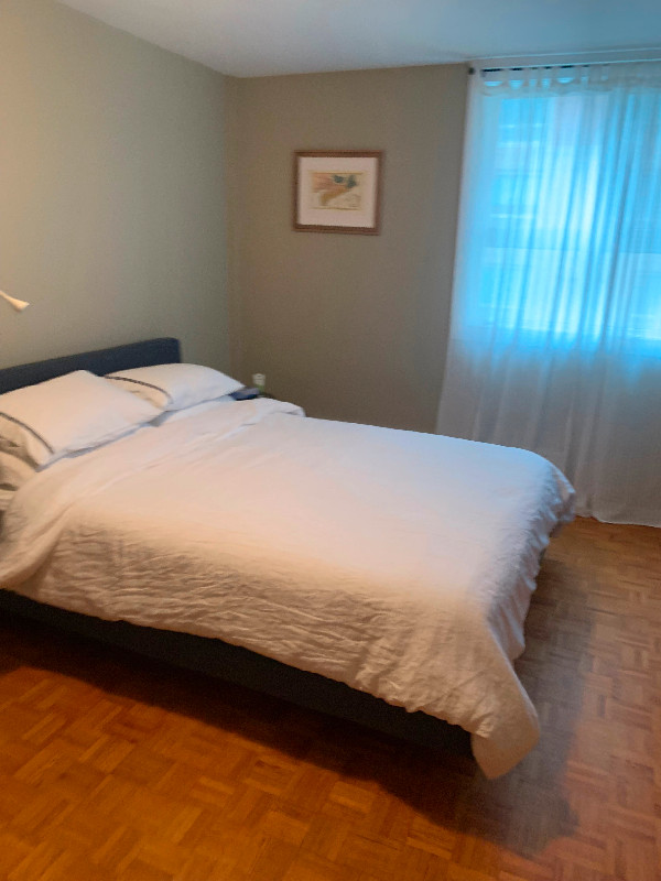 1 Bedroom Apt. South End. Halifax May 1st in Long Term Rentals in Truro