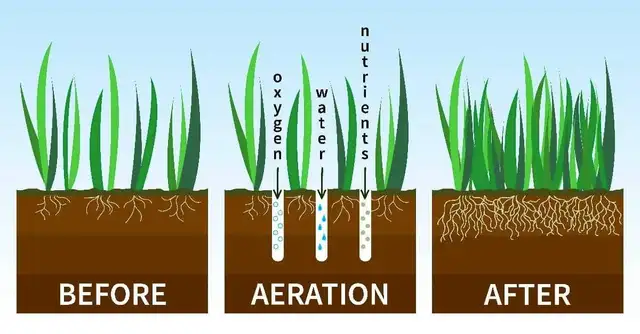 Lawn Aeration Service63871129137155121