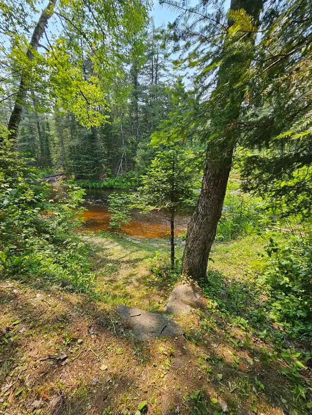 Beautiful Campsite 90 mins from GTA in Ontario in Canada - Image 11