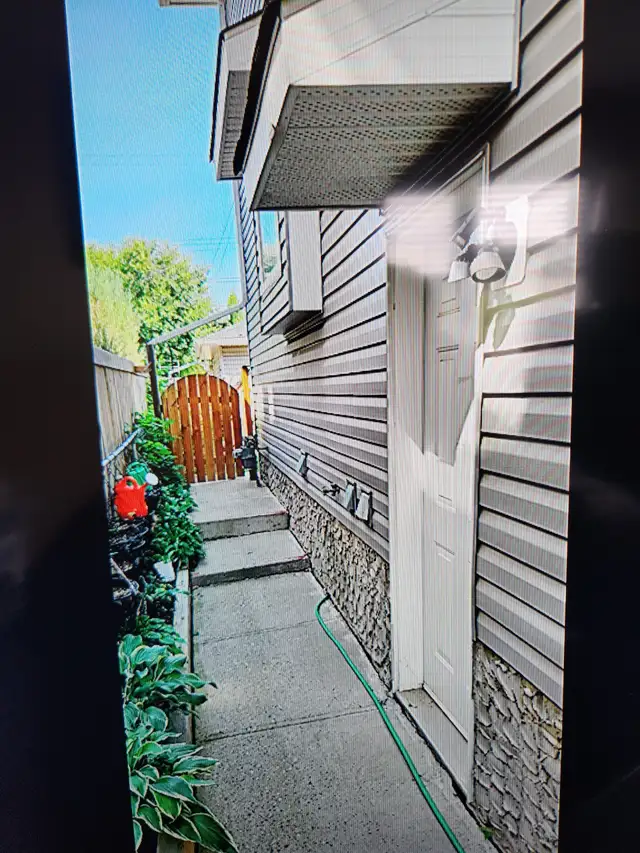 bright 2 bedroom basement suite for rent
