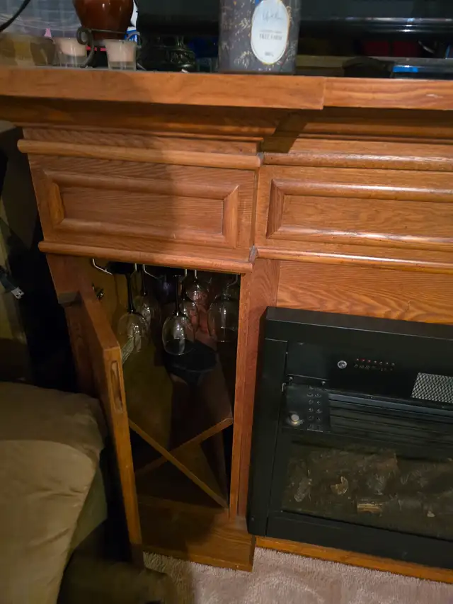Fireplace stand tv fridge & glass wine in Fireplace & Firewood in Ottawa - Image 6