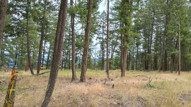 Princeton BC 1.999 Acres Land for Sale by Owner in Land for Sale in Penticton - Image 5