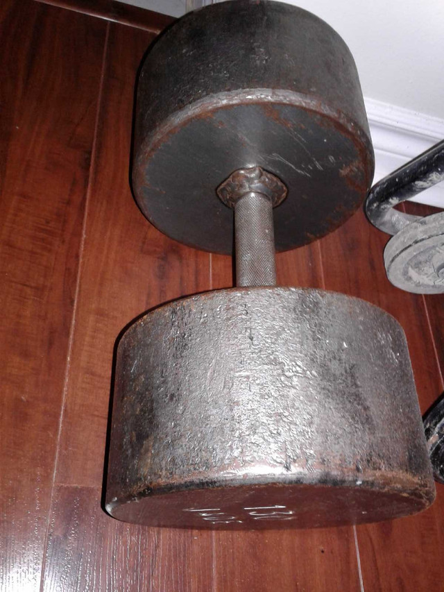Single 130 pounds steel dumbbell - $130 or trade  in Exercise Equipment in City of Toronto - Image 3