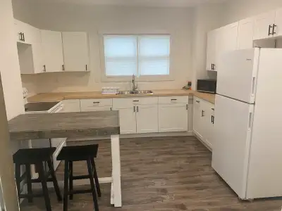 3 bedroom downtown - All inclusive, fully furnished