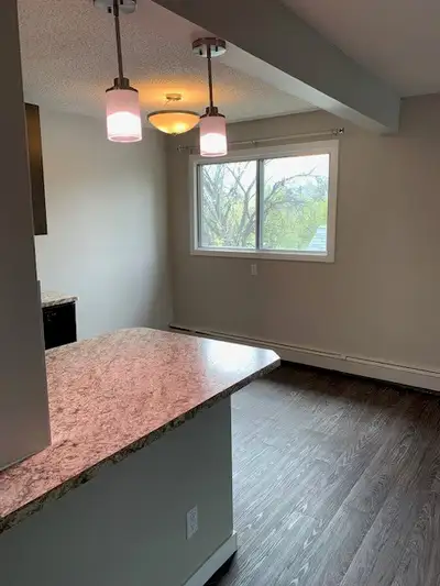 UofA Old Strathcona large 1 bdrm e