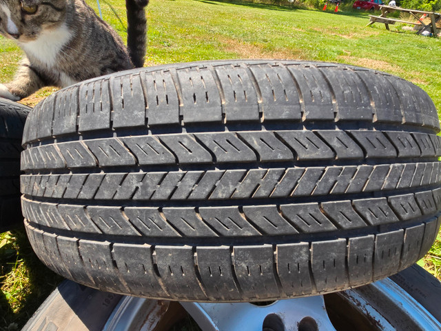 195 60 15" summer tires, 4 bolt rims, multiple fit in Tires & Rims in New Glasgow - Image 2