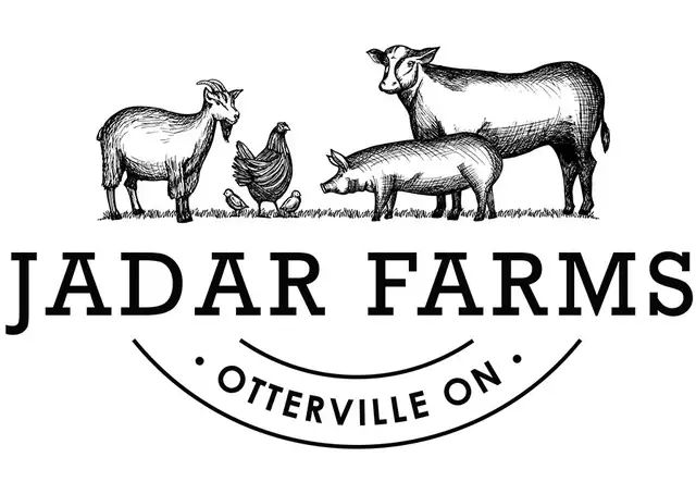 Freezer beef for sale in Other in Norfolk County - Image 4