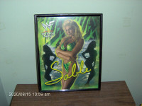 WWF Diva Sable 8"x10" Framed Picture  $15.00
