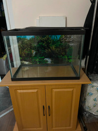 aquarium avec meuble de rangement