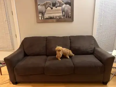 Divan (sofa) trois place à donner, couleur taupe (espresso), View more