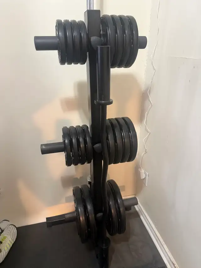 300lbs Weights, Rack & Bar(s)447849270797281281