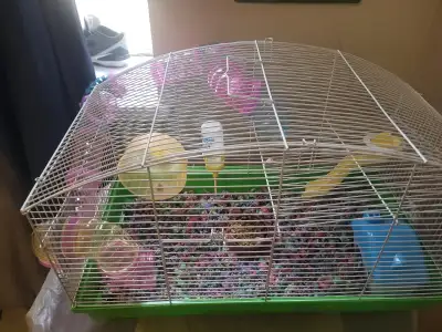 Hamster and cage for sale