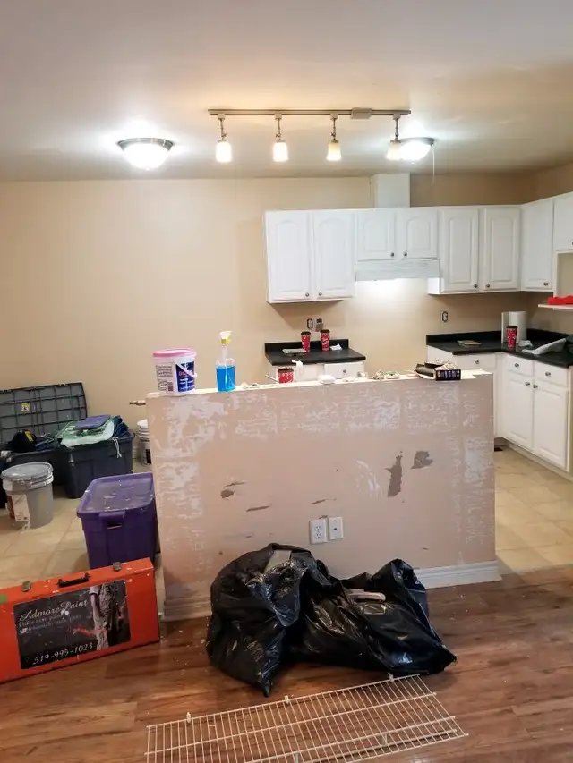 LOOKING FOR A PAINTER YOU CAN TRUST ?582838694530273284