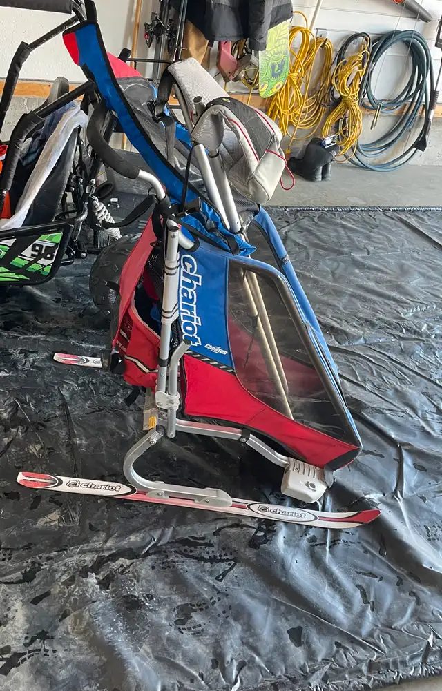 cheetah chariot 1 with ski attachment  dans Vêtements, chaussures et accessoires dans Medicine Hat - Image 2