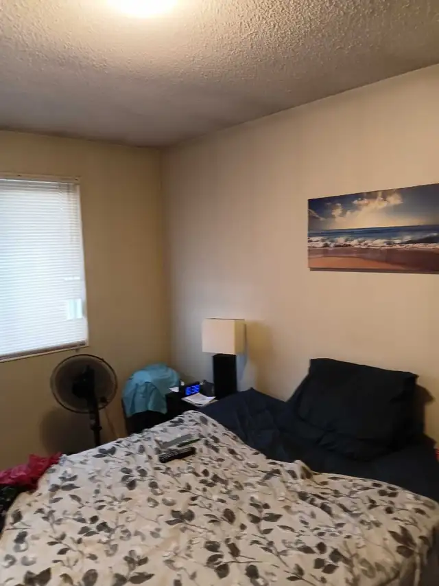 Master Suite509912591925268480