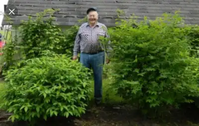 Looking to buy and transplant all kinds of edible trees, plants and shrubs. Preferably with solid gr...