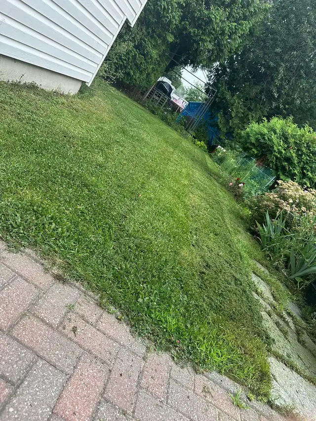 ALL SNOW - SPRING/SUMMER/FALL LAWN CUTS in Snow Removal & Property Maintenance in North Bay - Image 8