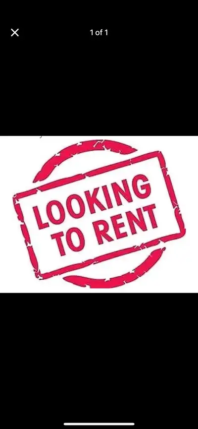 Looking for a 2BR apartment or house to rent