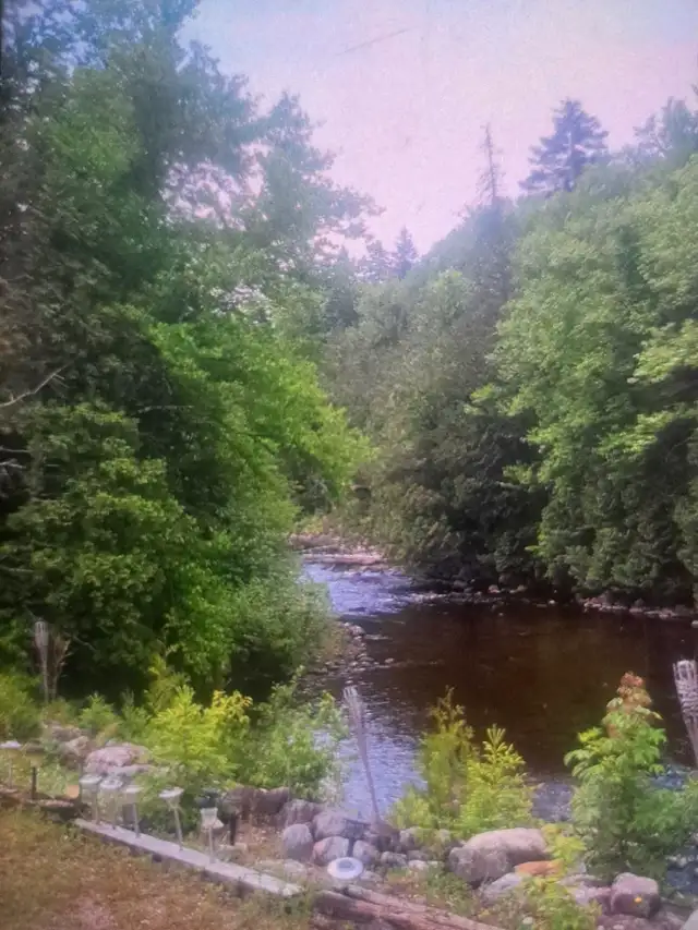 emplacement de camping  mi-sauvage in Quebec in Canada - Image 2