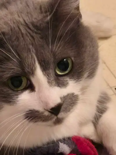 Single Guy Looking For New Friends , View more