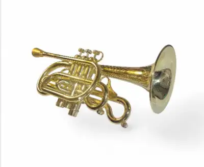Trompette "Cornet" Haut de gamme Caro Brass CCR 7770R YSS, View more