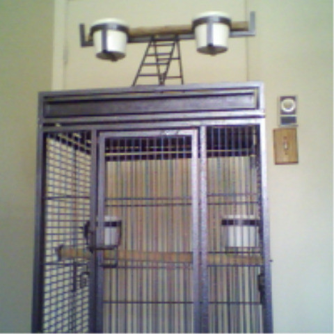 cage fer forger dans Accessoires  à Ouest de l’Île - Image 2