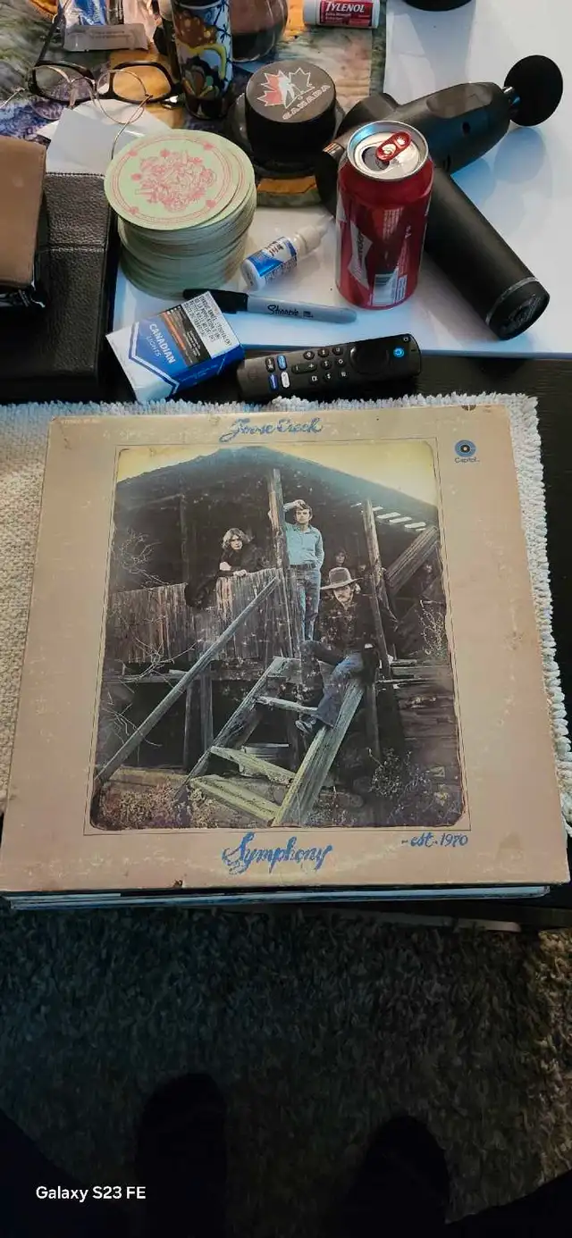 Goose Creek Symphony Vinyl62854392944899128