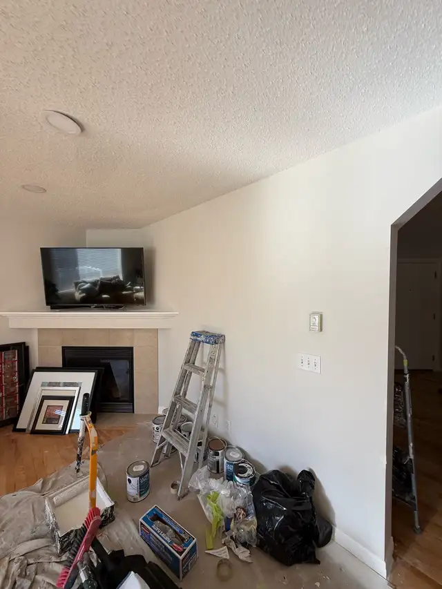 Experienced Handyman Services502213976240967681