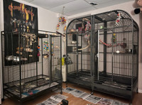 Large Parrot Cage