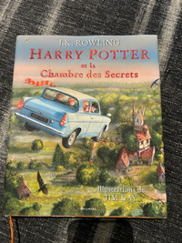 Harry Potter et La chambre des secrets french