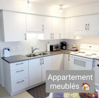 Appartement à louer - MEUBLÉS - 1er juillet 2024.