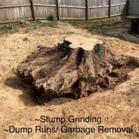 Stump & Junk Removal 