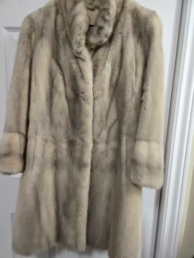 vison gris saphir , rare., View more